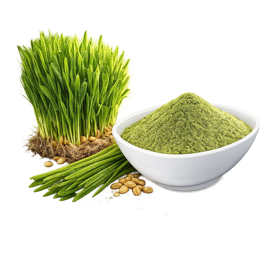 Wheatgrass Powder