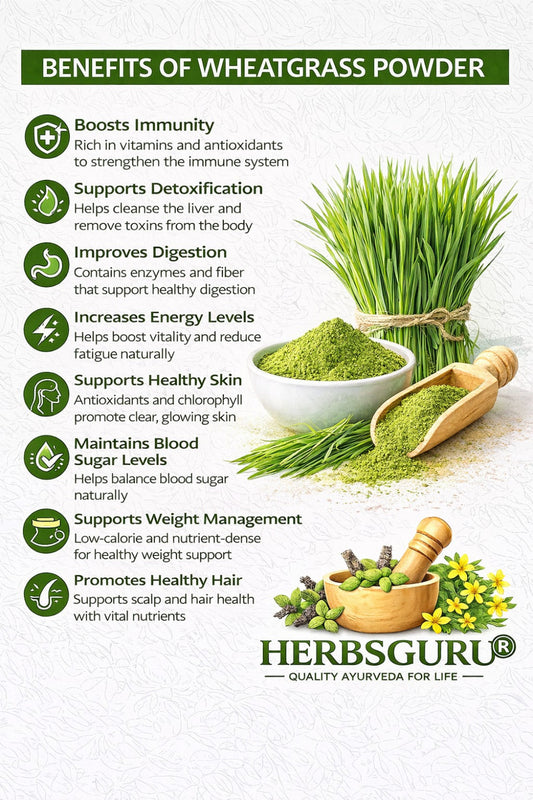 Wheatgrass powder with benefits listed on a white background, featuring HerbsGuru brand.