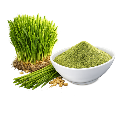Wheatgrass Powder